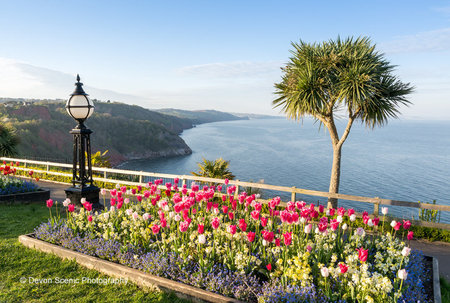 English Riviera  - The Babbacombe Hotel 28th October 2022 Only £199