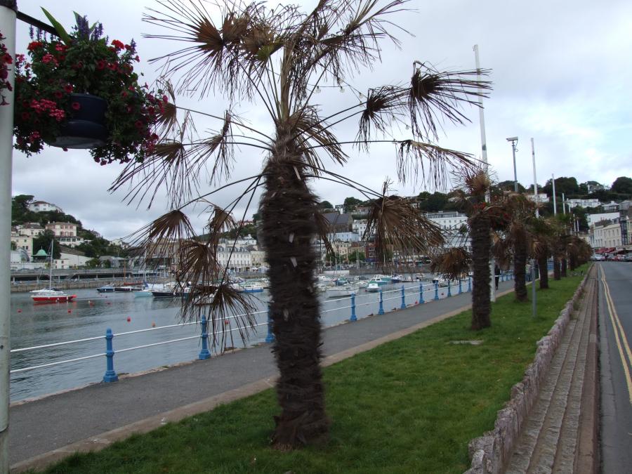 Riviera Hotel Torquay New Year 2017 Coach Holiday